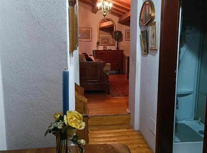 Guest house Collina 3*